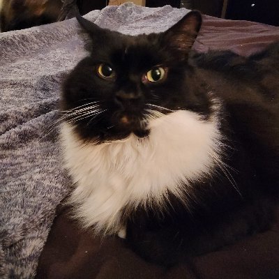 Tech Enthusiast, Gamer, Professional Project / Program Manager / Scrum Master.