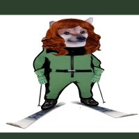 ML Heslin (@ml_heslin) 's Twitter Profile