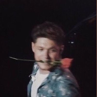 niall harry lover | hslot manchester 22 | trash tv | 🖤🤍💙