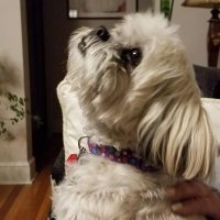 Chloe's mama (@chloesmama5) 's Twitter Profile