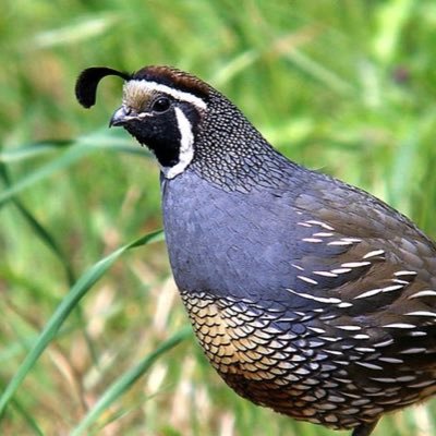 Kathryn9875's profile picture. Definitely an amateur photographer!  🤓. All photos are mine unless retweeted.