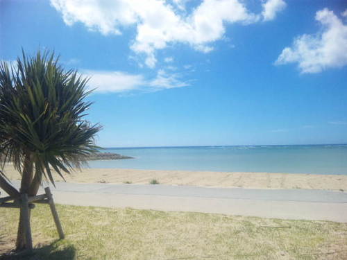 tsune_hide's profile picture. 沖縄 | DX推進 | 情報セキュリティ | kintone | Meraki | Microsoft365 | GoogleWorkspace | ㈱レキサス |沖縄県内でITを活用できる人を増やすために情シスコミュニティ運営