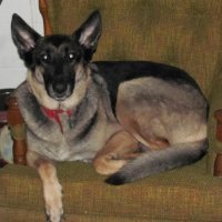 Denny Sawyer (@woodbutchernpr) 's Twitter Profile