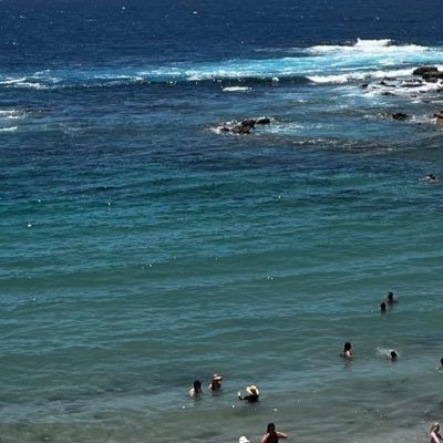 Jordanhawaii's profile picture. 