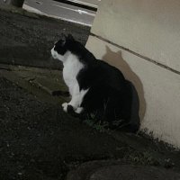 Lis@ (@lisa_tntn) 's Twitter Profile