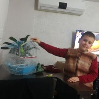yhs Osman (@osman19841453) 's Twitter Profile