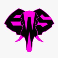 Elephants with Shotguns - Best Alt Rock Act 2022 (@ewshotguns) 's Twitter Profile