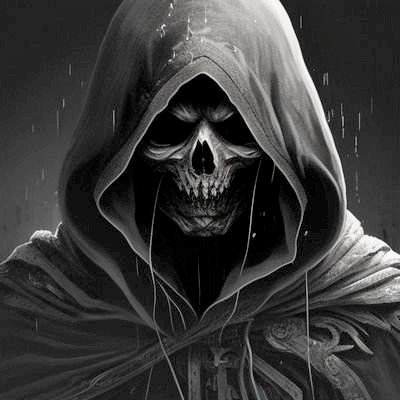 crypt0_reaper Profile Picture