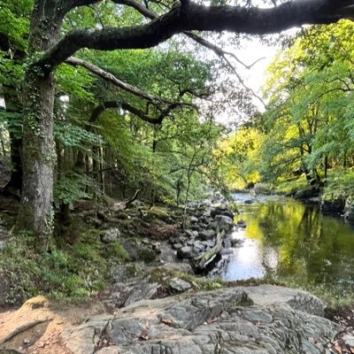 JohnBoyHough's profile picture. Travelling full time in my motorhome - zen 🤫🙏🌳🀄️🌿🐲✨🚐🌞🌜🍻🚏🗺️