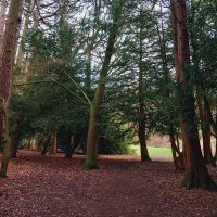 Rachael (@rachsjourney) 's Twitter Profile