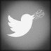 College Baseball Camps (@tweetmycamp) Twitter profile photo College Baseball Camps (@tweetmycamp) Twitter profile photo