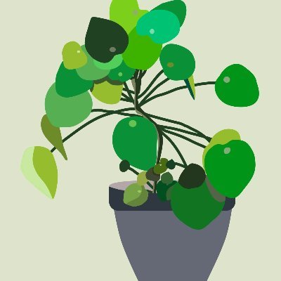 Tropify - The Ultimate Blog for House Plant Lovers! Follow for propagation tips and inspiration for your own collection