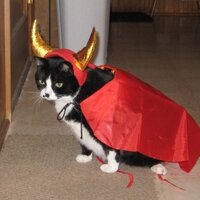 SassyMae (@sosofofomomo) 's Twitter Profile