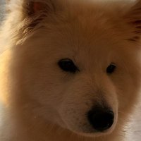 hümeyra savaş (@hmyr1) 's Twitter Profile