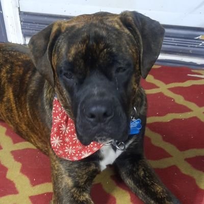 Chadjg2Chadjg's profile picture. 