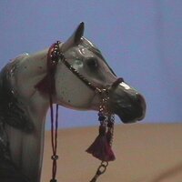 Mary Ann Feldman (@maryannfeldman) 's Twitter Profile