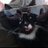 field_mark's profile image