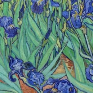 larybir30564694's profile picture. 