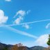 てくてく🍀癌から見える風景 (@fumiru23kurasi) Twitter profile photo てくてく🍀癌から見える風景 (@fumiru23kurasi) Twitter profile photo