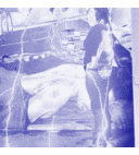 shoni johnson - @shoni80 - Twitter