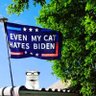 ZuppJulie's profile picture. Midwestern, patriotic, pureblood, Trump loving all American Nana