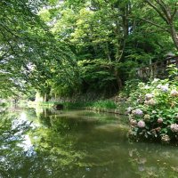 ぼっち (@todoolive) Twitter profile photo