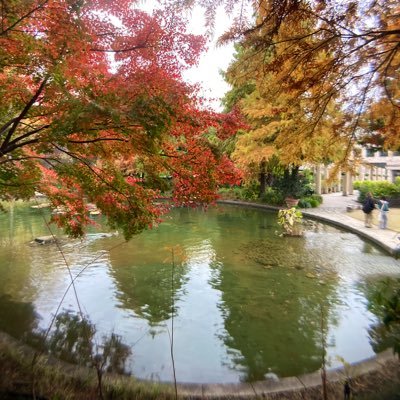 コウです🍮Nikonの一眼レフカメラ使い／街並み・風景画やポートレート撮影 🌼🍂🍁心に残るsceneを撮りたい。#ポートレート撮影 時々やってます。