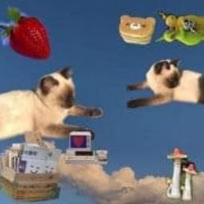wwe43126415's profile picture. 