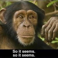 Monke Solutions (@monkesolutions) 's Twitter Profile