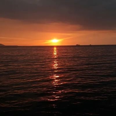 AyuRahm33335563's profile picture. hmm,,,,