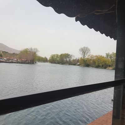 nehircimyavas's profile picture. 