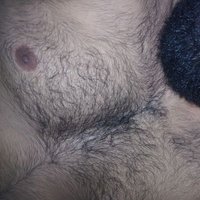 Cachorro (@cub27scl) 's Twitter Profile