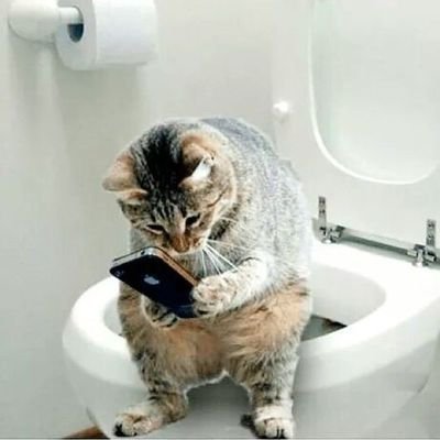 scratchesofkay's profile picture. Jst wanna scratch it out what's goin' on mind