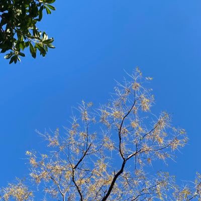 Luna_Water918's profile picture. 