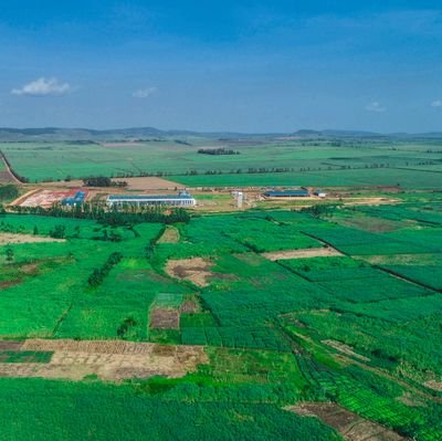 Jinja Industrial and Business Park (JIBP)