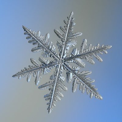 snowdaybot_rc Profile Picture