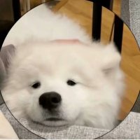 坦克大师 (@cdm07028411) Twitter profile photo