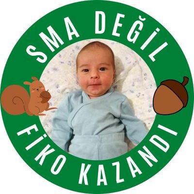 fiko_kazandi