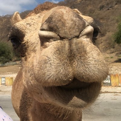 pejdak's profile picture. 