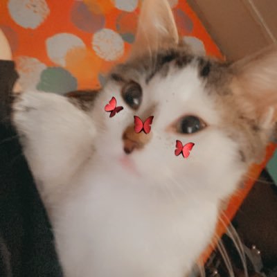 Sweet_Slayer02さんのプロフィール画像