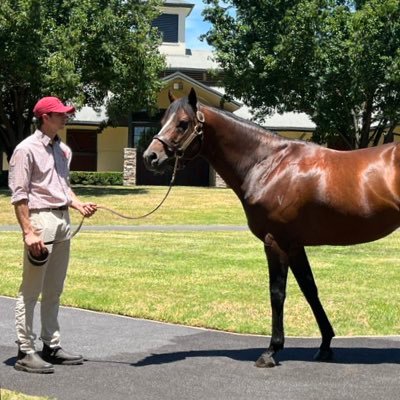 BSc (Hons) in Equine 📍Stallions at Newgate.