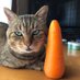 ねこにんじん (@nekoninjin11) Twitter profile photo ねこにんじん (@nekoninjin11) Twitter profile photo
