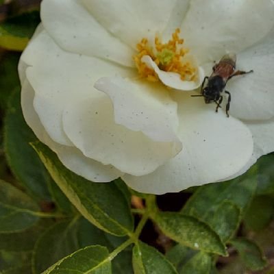 Ankur80651711's profile picture. 