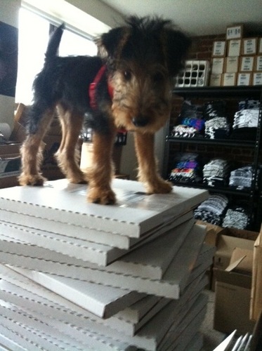 ralphforcover's profile picture. 