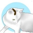 kakimoti62's profile picture. 