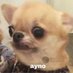 ay noo (@aynoo30) Twitter profile photo ay noo (@aynoo30) Twitter profile photo