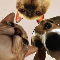 surti (@kangseurti) 's Twitter Profile