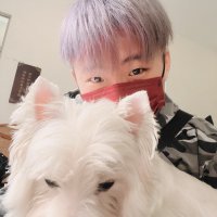 ༺ 羽༻ (@zxc810495) 's Twitter Profile