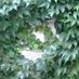 Lucie a Narciska🐈 (@luciejanouskova) Twitter profile photo Lucie a Narciska🐈 (@luciejanouskova) Twitter profile photo