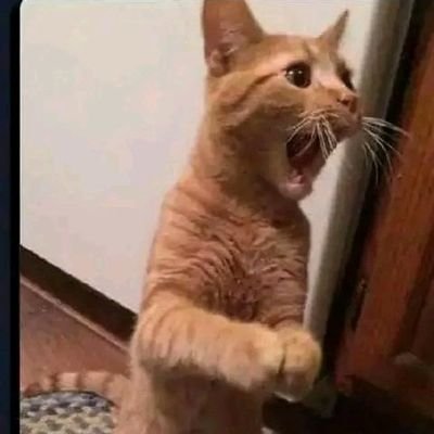 BusiaGang's profile picture. Musician